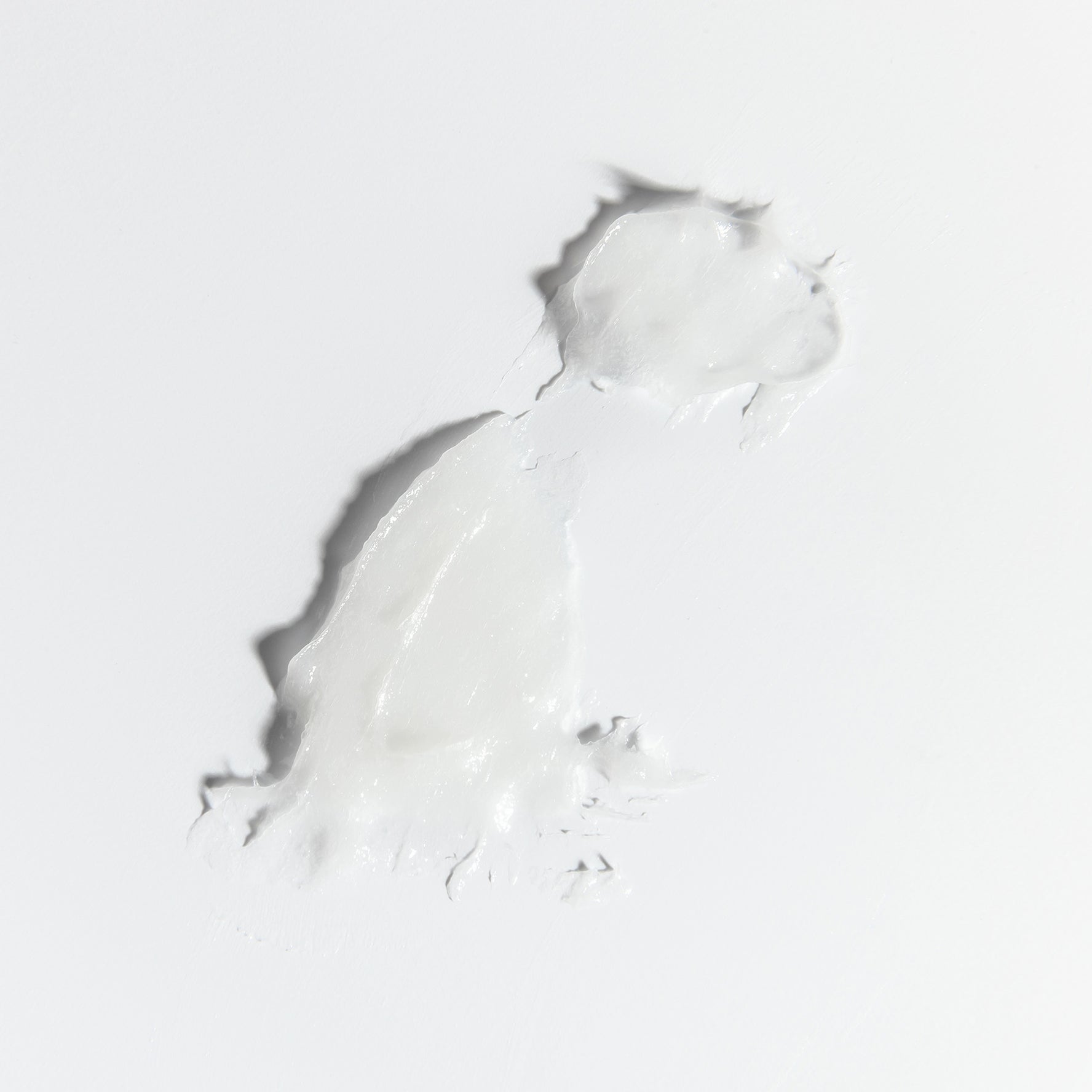 FÓRMULA GLOBAL A. RAYA Cosmética Dermatológica